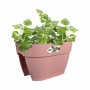 Plant pot Elho Vibia Campana Pink 26 x 39 x 22 cm Ø 40 cm by Elho, Hanging Planters & Baskets - Ref: S7164915, Price: 32,10 €...