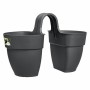 Pot Elho Vibia Campana Twin 38,4 x 20,5 x 26,5 cm Anthracite de Elho, Pots à suspendre - Réf : S7164936, Prix : 28,18 €, Remi...