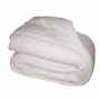 Remplissage de couette Blanreve 420 g/m² 240 x 260 cm de Blanreve, Couettes et housses de couette - Réf : S7165670, Prix : 72...