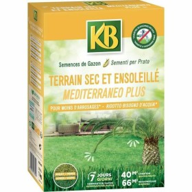 Sementes KB Relva Mediterrâneo 1 kg 40 m² de KB, Relva - Ref: S7166226, Preço: 24,13 €, Desconto: %