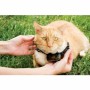 Cat Collar PetSafe Prf-3004xw-20 by PetSafe, Collars - Ref: S7166450, Price: 121,99 €, Discount: %