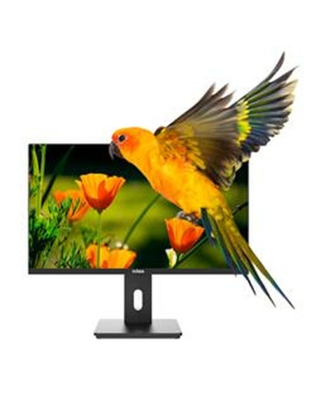 Monitor Nilox NXM24REG02 Full HD 24" 75 Hz da Nilox, Monitor - Ref: S7783722, Precio: €133.27, Descuento: %