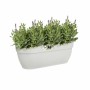 Hanging Planter Elho White Plastic 24 x 46 x 26,5 cm by Elho, Hanging Planters & Baskets - Ref: S7167356, Price: 29,22 €, Dis...