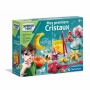 Gioco di Scienza Clementoni Create Your Crystals | Tienda24 - Global Online Shop Tienda24.eu