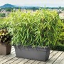 Pot Deroma Anthracite Recyclado Injecté 100 cm de Deroma, Pots de fleurs - Réf : S7168632, Prix : 58,49 €, Remise : %