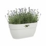 Plant pot Elho 3662603645100 White Plastic Rectangular Modern 24 x 36 x 26,5 cm by Elho, Flower Pots - Ref: S7170693, Price: ...