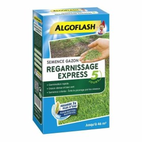 Graines Algoflash de Algoflash, Légumes - Réf : S7173458, Prix : 31,39 €, Remise : %