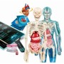 Juego de Ciencia Clementoni Anatomy de Clementoni, Ciencias - Ref: S7179845, Precio: 35,97 €, Descuento: %