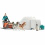 Set of Wild Animals Schleich Antarctic Expedition by Schleich, Animals - Ref: S7182242, Price: 43,62 €, Discount: %