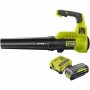 Souffleuse Ryobi Turbojet Volets de Ryobi, Souffleurs de feuilles - Réf : S7185365, Prix : 294,25 €, Remise : %