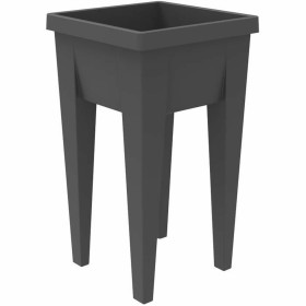 Planter Alexandra House Living Classic Magnesium 30 x 30 x 32 cm | Tienda24 - Global Online Shop Tienda24.eu