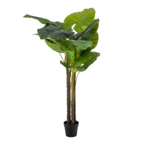 Planta Decorativa 75 x 60 x 155 cm Verde Filodendr