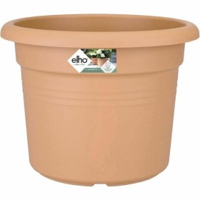 Blumentopf Dem Greentime kreisförmig Schale Braun ø 50 x 6,8 cm (6 Stück) | Tienda24 - Global Online Shop Tienda24.eu