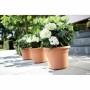 Blumentopf Elho kreisförmig Rosa Kunststoff Ø 30 cm von Elho, Töpfe - Ref: S7189748, Preis: 32,95 €, Rabatt: %