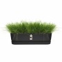 Jardinera Elho  Negro 70 cm Plástico | Tienda24 - Global Online Shop Tienda24.eu