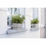 Planter Elho  Grey 70 cm Plastic | Tienda24 - Global Online Shop Tienda24.eu