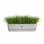 Planter Elho  Grey 70 cm Plastic | Tienda24 - Global Online Shop Tienda24.eu