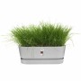 Jardinera Elho Gris 50 cm Plástico de Elho, Maceteros de ventana - Ref: S7189768, Precio: 40,85 €, Descuento: %