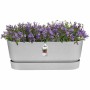 Jardinera Elho Gris 50 cm Plástico de Elho, Maceteros de ventana - Ref: S7189768, Precio: 40,85 €, Descuento: %