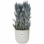 Plant pot Elho  Ø 25 cm Circular White Plastic | Tienda24 - Global Online Shop Tienda24.eu