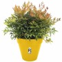 Maceta Elho Ø 50 cm Plástico Redondo Redonda Moderno de Elho, Macetas para flores - Ref: S7189786, Precio: 55,72 €, Descuento: %