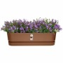 Blumenkasten Elho  70 cm Kunststoff | Tienda24 - Global Online Shop Tienda24.eu