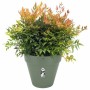 Plant pot Elho Ø 50 cm Plastic by Elho, Flower Pots - Ref: S7189798, Price: 56,86 €, Discount: %