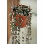 Jardinière suspendue Elho Plastique Ø 30 cm de Elho, Pots à suspendre - Réf : S7189800, Prix : 31,41 €, Remise : %