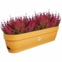 Jardinière Elho 70 cm Plastique de Elho, Jardinières - Réf : S7189821, Prix : 38,18 €, Remise : %