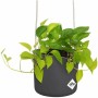 Jardinière suspendue Elho Noir Anthracite Plastique Ø 18 cm de Elho, Pots à suspendre - Réf : S7189833, Prix : 31,93 €, Remis...