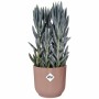 Plant pot Elho Pink Plastic Circular Modern Ø 25 cm by Elho, Flower Pots - Ref: S7190620, Price: 32,80 €, Discount: %