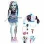 Boneca Monster High HHK53 Articulada de Monster High, Bonecas fashion - Ref: S7192444, Preço: 50,63 €, Desconto: %