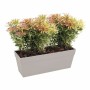 Blumentopf Elho Weiß 50 cm | Tienda24 - Global Online Shop Tienda24.eu