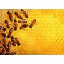 Puzzle Ravensburger Challenge 17362 Beehive 1000 Piezas de Ravensburger, Puzzles - Ref: S7193778, Precio: 31,01 €, Descuento: %