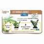 Fertilizzante per piante Fertiligène Geranio Fiori 3 L di Fertiligène, Fertilizzanti multiuso - Rif: S7193908, Prezzo: 39,69 ...