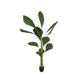 Planta Decorativa Romimex PVC Licuala 20 x 180 x 20 cm de Romimex, Plantas - Ref: D1619113, Precio: 151,40 €, Descuento: %