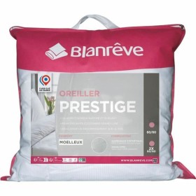 Pillow Blanreve 2 Units 60 x 60 cm by Blanreve, Pillows - Ref: S7196173, Price: 35,70 €, Discount: %