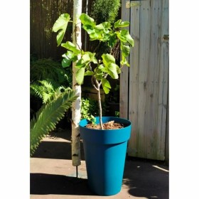 Plant pot Riss 53 cm Blue Plastic by Riss, Flower Pots - Ref: S7196238, Price: 37,27 €, Discount: %