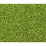 Césped Artificial Exelgreen Campus 2D 1 x 5 m 25 mm | Tienda24 - Global Online Shop Tienda24.eu