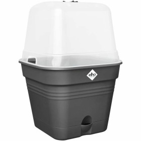 Pot auto-arrosant Argenté polypropylène 32 x 30,5 x 32 cm (4 Unités) | Tienda24 - Global Online Shop Tienda24.eu