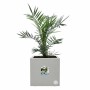 Maceta Elho Blanco Ø 39 cm Plástico Cuadrado Moderno de Elho, Macetas para flores - Ref: S7196655, Precio: 67,91 €, Descuento: %