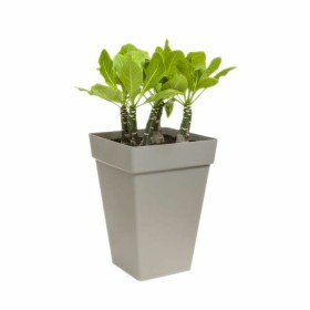 Blumentopf Elho Ø 29,5 cm Anthrazit Polypropylen Kunststoff karriert von Elho, Töpfe - Ref: S7196676, Preis: 39,26 €, Rabatt: %