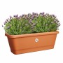 Plant pot Elho Brown Plastic Modern | Tienda24 - Global Online Shop Tienda24.eu