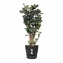 Maceta Elho Negro Plástico Redondo Moderno Ø 47 cm de Elho, Macetas para flores - Ref: S7196841, Precio: 65,33 €, Descuento: %