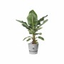 Maceta Elho Gris Plástico Redondo Moderno Ø 47 cm de Elho, Macetas para flores - Ref: S7196842, Precio: 78,75 €, Descuento: %