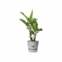 Maceta Elho Gris Plástico Redondo Moderno Ø 47 cm de Elho, Macetas para flores - Ref: S7196842, Precio: 78,75 €, Descuento: %