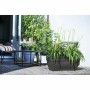 Plant pot Elho Anthracite Plastic Rectangular Modern | Tienda24 - Global Online Shop Tienda24.eu