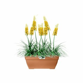 Plant pot Elho Ø 76,5 cm Plastic Rectangular Modern by Elho, Flower Pots - Ref: S7196847, Price: 53,29 €, Discount: %