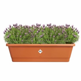 Plant pot Elho Brown 65 x 20 x 18 cm Plastic Squared by Elho, Flower Pots - Ref: S7196858, Price: 45,90 €, Discount: %