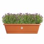 Plant pot Elho Brown 65 x 20 x 18 cm Plastic Squared by Elho, Flower Pots - Ref: S7196858, Price: 45,90 €, Discount: %